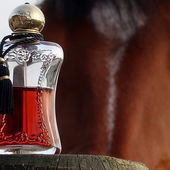 Safanad, die edle Stute des Königs. Eleganz, Wärme, Anmut und Schönheit im Duft. (von Zora)