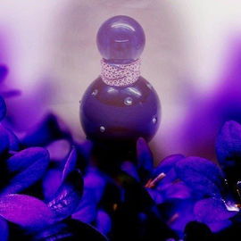 Midnight Fantasy (Eau de Parfum) - Britney Spears