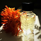 Kleine Sterne (by Floyd)