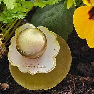 🏵🏵🏵Danke für Euren Besuch. Freue mich sehr.🏵🏵🏵