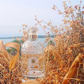 Bei Trockenheit, Dürre und Hitze rettet Eau de Cologne Impériale den Tag ☀️