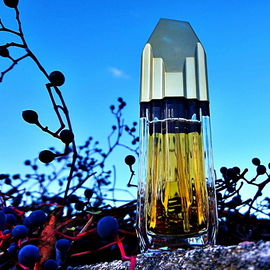 Ysatis Édition Limitée 10 ème Anniversaire - Givenchy