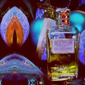 Das eigentliche Bild wurde abgelehnt und ist im Album, war vermutlich zu sehr Bollywood ;) (von Gandix)