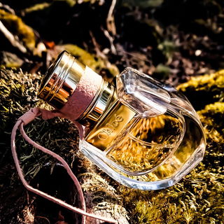 In den Maasduinenteil De Hamert, Gem. Bergen in Nordlimburg, NL