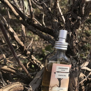 Coastal Pine (Cologne) von Juniper Ridge
