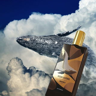 Ocean Leather - Memo Paris