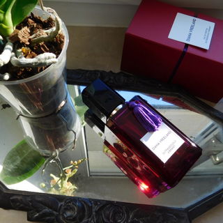 Outrageously Vibrant - Diana Vreeland