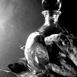 Orchidée (Eau de Toilette) - Yves Rocher