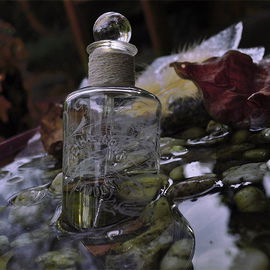 Artemisia (Eau de Parfum) - Penhaligon's