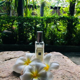 30ml Flakon