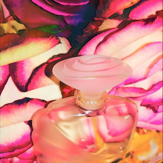 Beautiful (Perfume) - Estēe Lauder