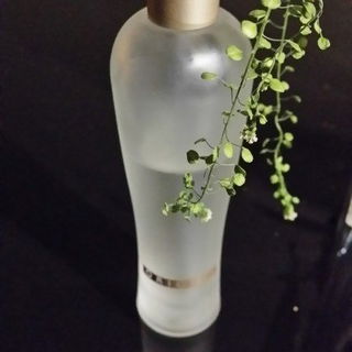 Ginger Essence by Origins