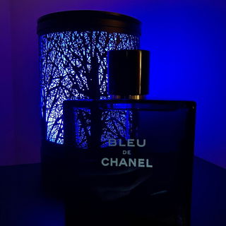 Bleu de Chanel (Eau de Toilette) by Chanel