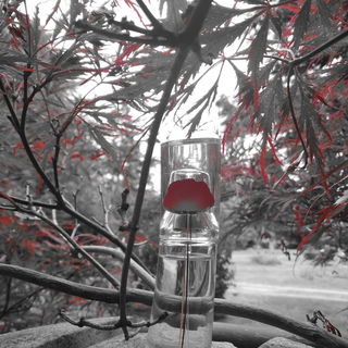 Flower by Kenzo Eau de Lumière - Kenzo