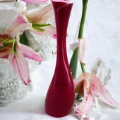 Vielen Dank, dass Sie mich hier besuchen und liebe Kommentare schreiben :-) (by ElenaN)