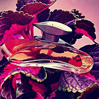 Natori (Eau de Parfum) - Avon