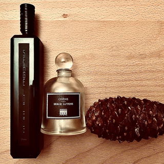 Chêne by Serge Lutens
