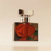 Mirror, mirror... (by CandyScent)