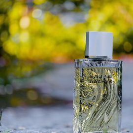 Eau de Rochas Homme (1993) (Eau de Toilette) - Rochas