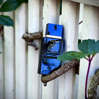 Pour Homme (1978) (Eau de Toilette) - Van Cleef & Arpels