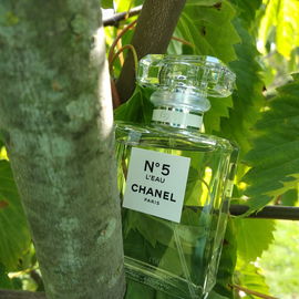Escale à Pondichéry - Dior