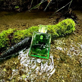 …📷🌍 Thank you. Danke schön. Merci beaucoup. Muchas gracias. Dōmo arigatō gozaimasu 💐…