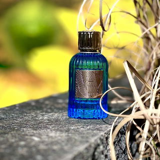 Qissa - Paris Corner