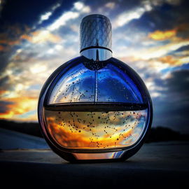 Gucci Intense Oud - Gucci