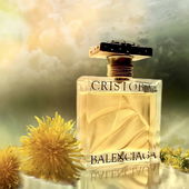 ...... eine Herbschöne - mit süßem Lächeln .... diese Mme Cristobal ..... :) ... - Auch hier .. ganz lieben Dank für all Eure schönen Worte -, die mich sehr freuen ... :)) (von IrisNobile)