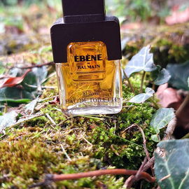 Der Herbst naht 🍂