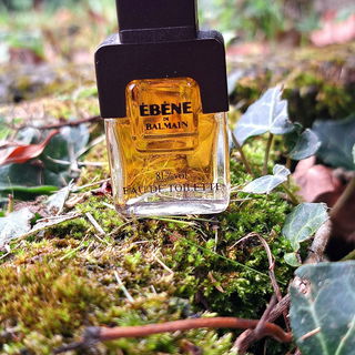 Ébène de Balmain (1983) (Eau de Toilette) von Balmain