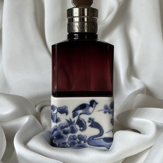 Soie Malaquais von Dries Van Noten