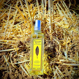 Verveine Agrumes / Citrus Verbena (Eau de Toilette) - L'Occitane en Provence