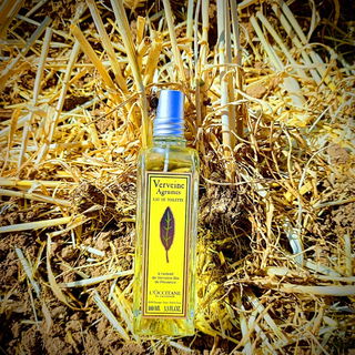 Verveine Agrumes / Citrus Verbena (Eau de Toilette) - L'Occitane en Provence