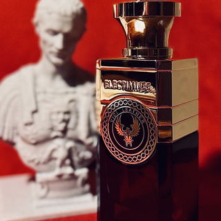 Vici Leather von Electimuss