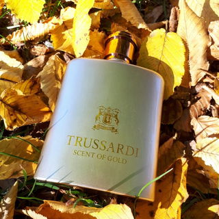 Scent of Gold von Trussardi