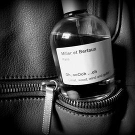 Oh, ooOoh ...oh (mist, wood, wind and guitar) - Miller et Bertaux