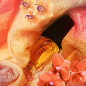 Dort hat sich noch ein kleines, verspätetes Gespenst eingeschlichen 👻 (von MadameLegras)