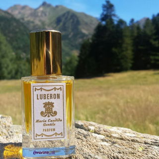 Cachet Jaune - Guerlain
