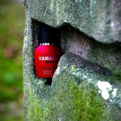 …📷🌍 Thank you. Danke schön. Merci beaucoup. Muchas gracias. Dōmo arigatō gozaimasu 💐… (von Kokusai)