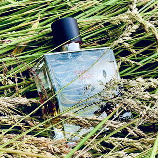 Terre d'Hermès (Parfum) von Hermès