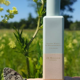 Green Wheat & Meadowsweet