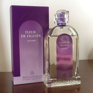 Les Fleurs de Provence - Fleur de Figuier by Molinard