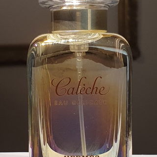 Bogner Snow Man (Eau de Toilette) - Bogner