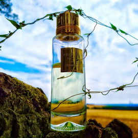 Cedar Atlas - Première Note