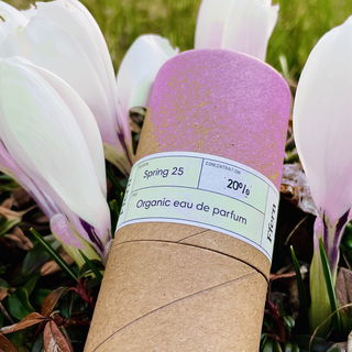 Spring 25 by Ffern