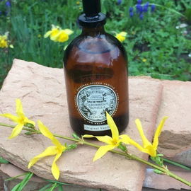 Caribbean Vanilla - Original Vanilla - Perlier