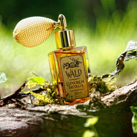 Wald (Eau de Parfum) - Euphorium Brooklyn