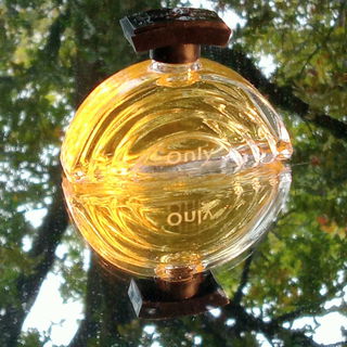 Halbkreis sucht Ergänzung, Inspiration für Rezension