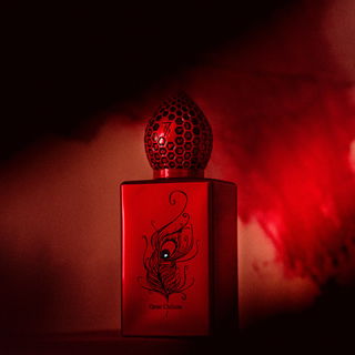 Qom Chilom by Stéphane Humbert Lucas